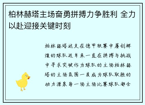 柏林赫塔主场奋勇拼搏力争胜利 全力以赴迎接关键时刻